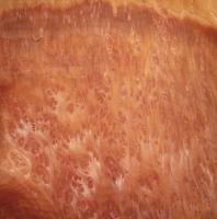 Vavona Burl veneer