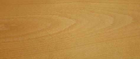Beech veneer