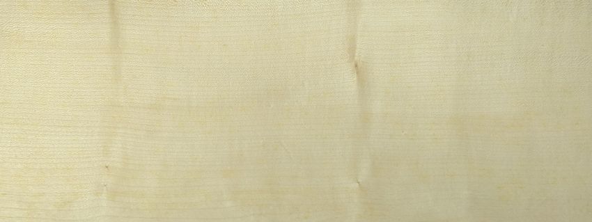 Sycomore (europ. Maple) veneer