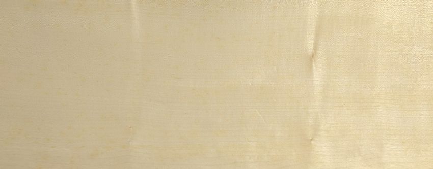 Sycomore (europ. Maple) veneer