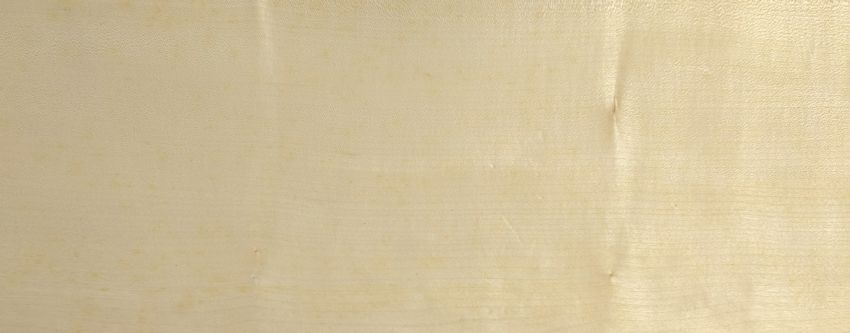 Sycomore (europ. Maple) veneer