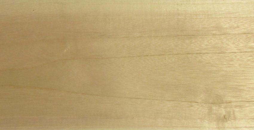 Paulownia veneer