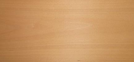 Beech veneer