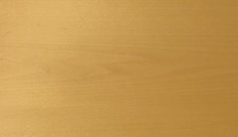 Beech veneer