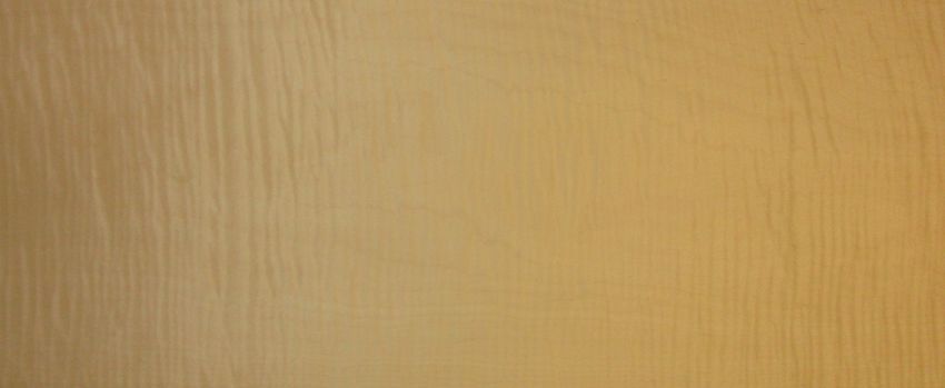 Sycomore figured veneer