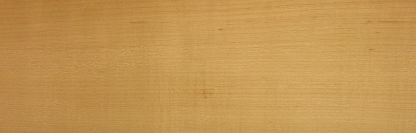 Maple (Hard Maple) veneer