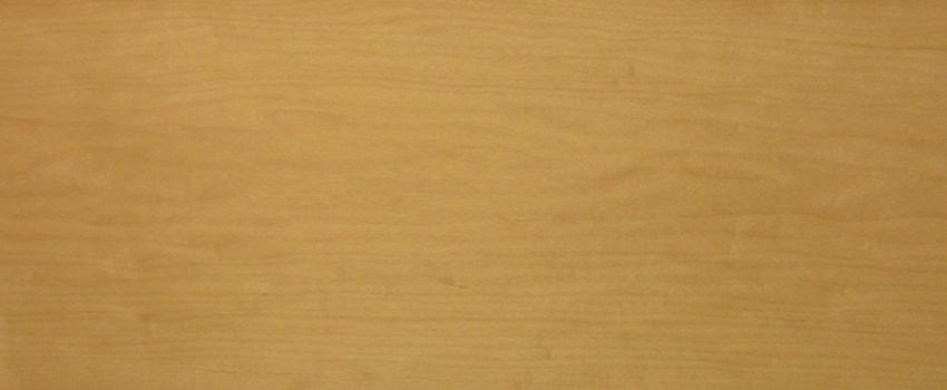 Maple (Hard Maple) veneer