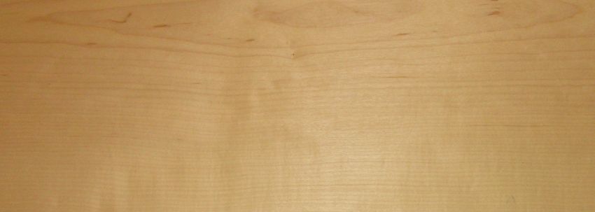 Ahorn amerik. (Hard Maple) Furnier