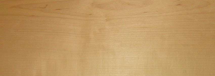 Maple (Hard Maple) veneer