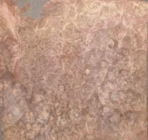 Walnut Burl veneer