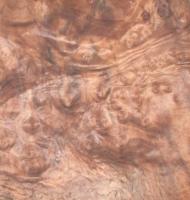 Walnut Burl veneer