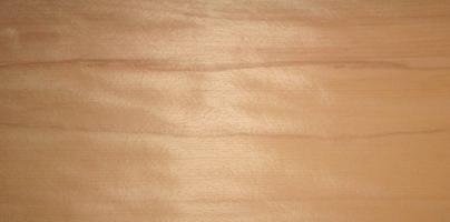Beech (brown heart) veneer