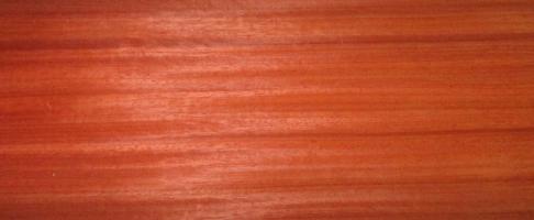 Padouk veneer