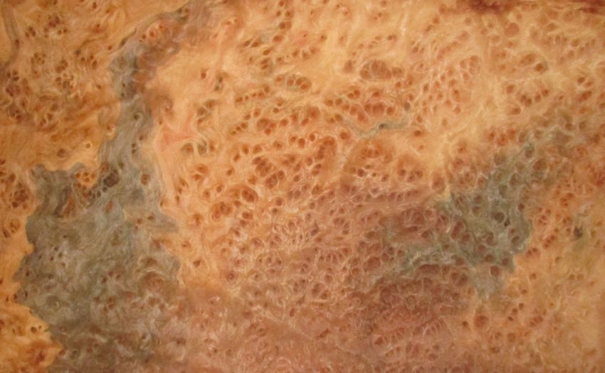Vavona Maser Furnier