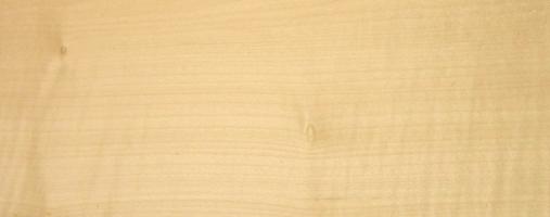 Sycomore (europ. Maple) veneer