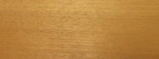 Walnut europ. Sap veneer