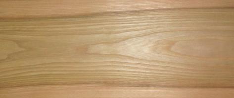 Elm veneer