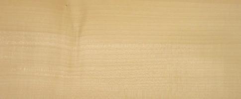 Sycomore (europ. Maple) veneer