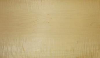 Sycomore figured veneer