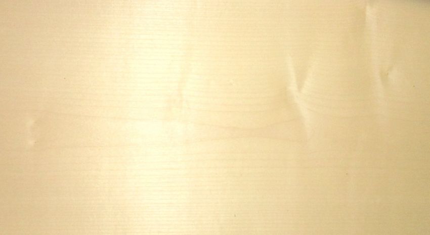 Sycomore (europ. Maple) veneer