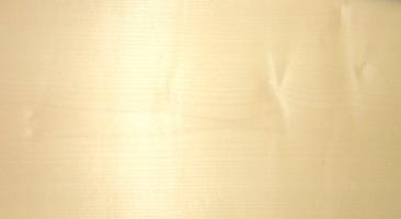 Sycomore (europ. Maple) veneer