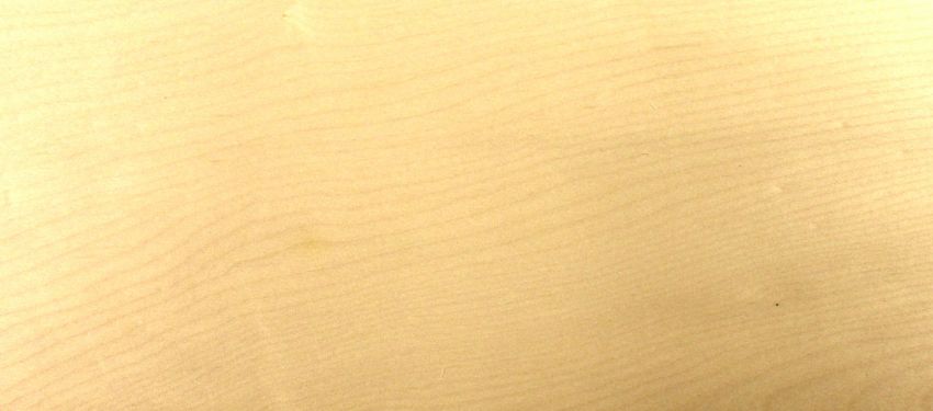 Sycomore (europ. Maple) veneer