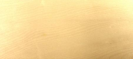 Sycomore (europ. Maple) veneer
