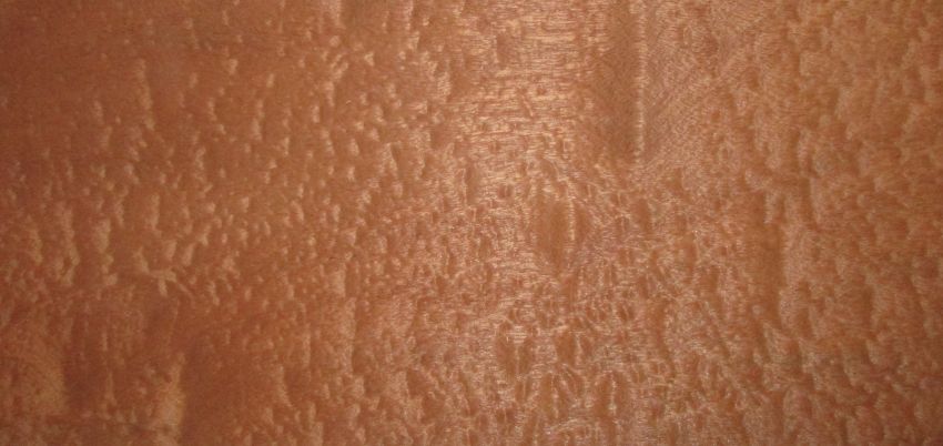 Mahogani Pommele veneer