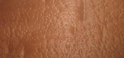 Mahogani Pommele veneer