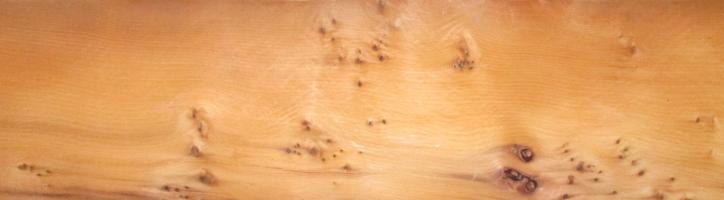 Yew tree veneer