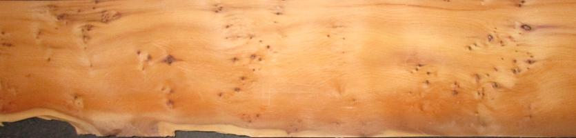Yew tree veneer