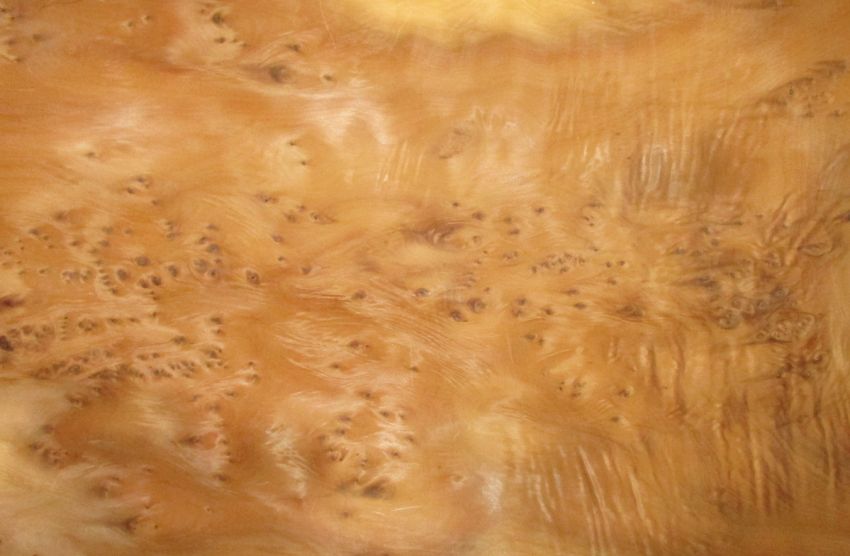 Yew tree veneer