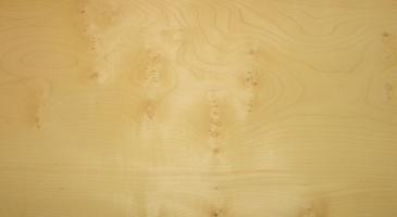 Sycomore Knotty veneer