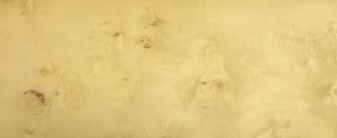 Sycomore Knotty veneer