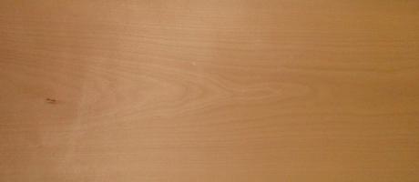 Beech veneer