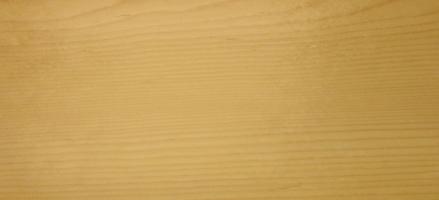 Spruce veneer