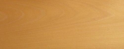 Beech veneer