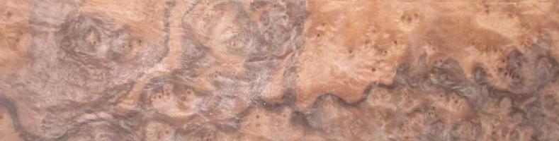 Walnut Burl veneer