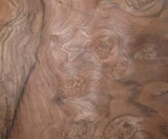 Walnut Burl veneer