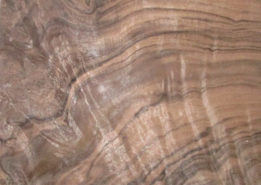 Metz Furniere Nussbaum Maser Wurzelholz Furnier Shop Detailansicht
