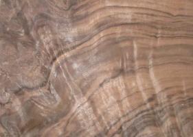 Walnut Burl veneer