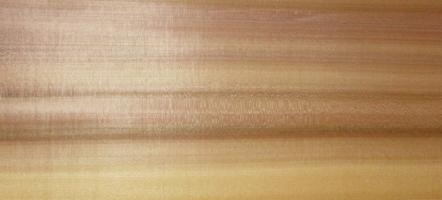 Tulipier veneer