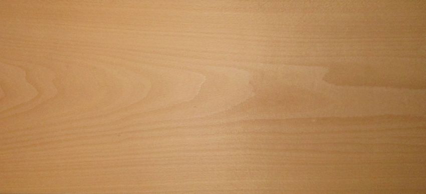 Beech veneer