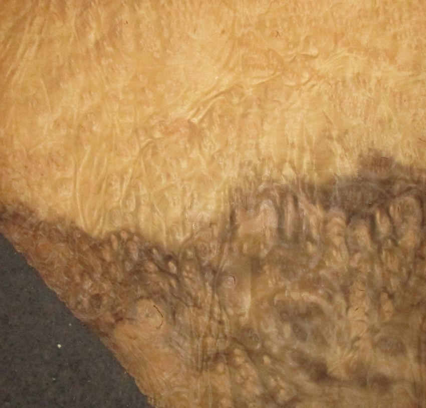 Myrte Maser Furnier