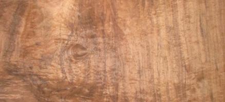 Walnut Burl veneer