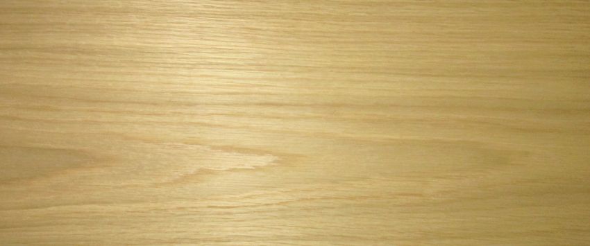 Oak american ( White Oak) veneer