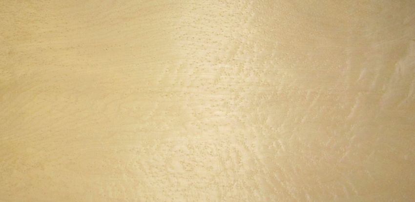 Maple (Birdseye Maple) veneer