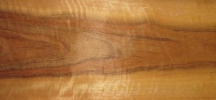 Amazaque veneer