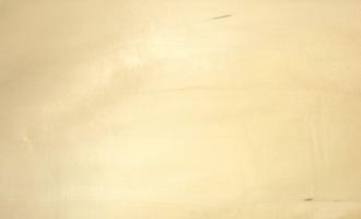 Basswood veneer