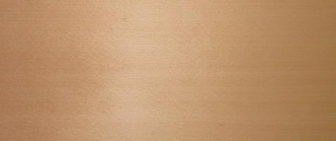 Beech veneer
